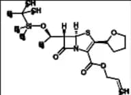 Faropenem Related Compound 3