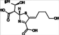 Faropenem Impurity 11