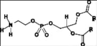 Phosphatidylethanolamine