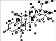 Fluocinolone Acetonide 21-Methoxy