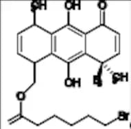 FR58P1a