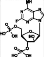 Fludarabine Phosphate Impurity C