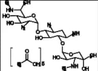 Gentamicin C1 Pentaacetate Salt