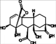 15-β-OH Gibberellin A3