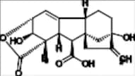 Gibberellic Acid 3-Isolactone