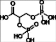 2,3-BGP (2,3-Bisphosphoglyceric Acid)