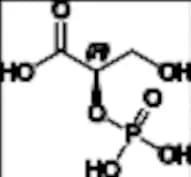 D-(-)-2-phosphoglyceric Acid
