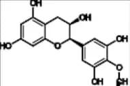 4'-O-Methyl-(-)-Epi-Gallocatechin