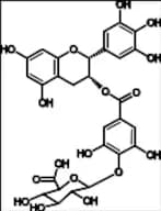 (-)-Epigallocatechin Gallate-β-D- Glucuronide A