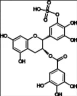 (-)-Epigallocatechin Gallate Sulfate C