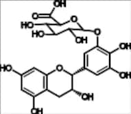 (-)-Epigallocatechin-β-D-Glucuronide A