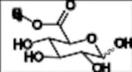 D-Glucopyranuronic Acid Methyl Ester