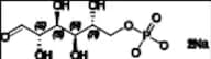 D-Mannose-6-phosphate Disodium Salt