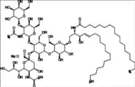 Ganglioside M1 Sodium Salt (GM1-Ganglioside Sodium Salt)