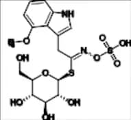 4-Methoxyglucobrassicin