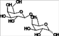 6-O-β-D-Galactopyranosyl-D-Galactose