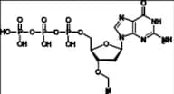 3'-O-Azidomethyl-Deoxyguanosine Triphosphate (dGTP)
