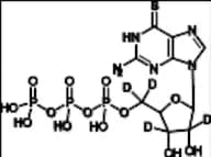 6-Thioguanosine 5’-triphosphate-d4