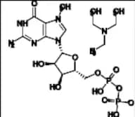 Guanosine Impurity 3 Triethylamine