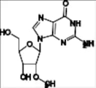 2'-O-Methylguanosine