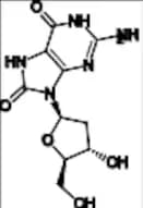 8-Hydroxy-2'-Deoxyguanosine