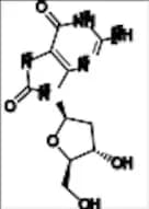 8-hydroxy-2'-Deoxyguanosine-15N5
