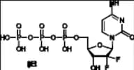 Gemcitabine Triphosphate Tri(triethylamine) Salt