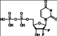Gemcitabine Impurity 10