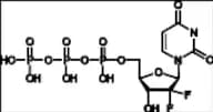 Gemcitabine Impurity 11