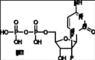 Gemcitabine Diphosphate-13C-15N2 Tri(triethylamine) Salt