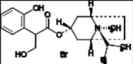 2-Hydroxy Ipratropium Bromide