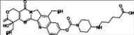 Irinotecan Related Compound(RPR 121056)