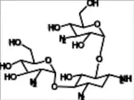 Kanamycin C