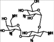 Kanamycin Impurity B
