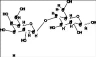 Lactose-13C12