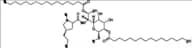 Lincomycin-2,7-Dipalmitate