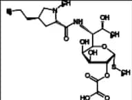 Lincomycin Oxalate