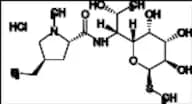 Lincomycin B HCl