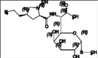 Lincomycin Impurity 3