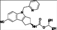 LY 2452473