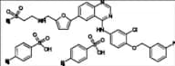 Lapatinib Ditosylate