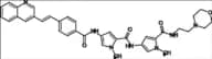 MGB-BP-3