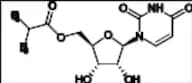 Molnupiravir Impurity 7