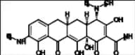 9-Monodemethyl Minocycline