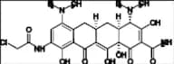 9-Chloroacetamidominocycline