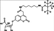 Mucopolysaccharidosis Type II Related Compound MPS-II-3 (IdS-IS)