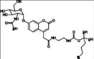 Mucopolysaccharidosis Type III Related Compound MPS-III-6