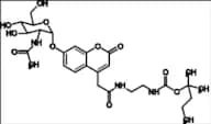 Mucopolysaccharidosis Type III Related Compound MPS-III-8