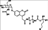 Mucopolysaccharidosis Type III Related Compound MPS-III-11