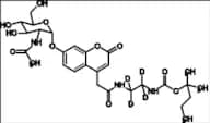 Mucopolysaccharidosis Type III Related Compound MPS-III-12